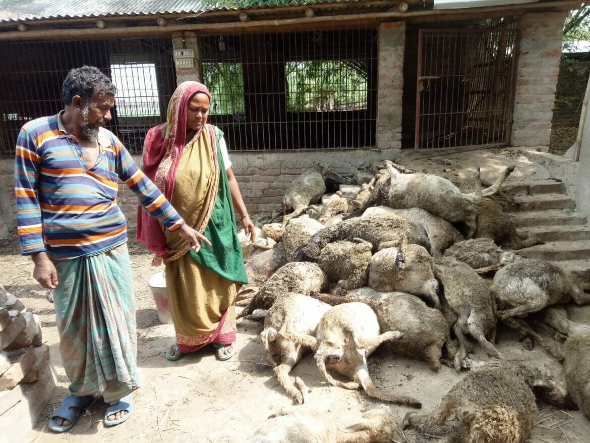 কাল বৈশাখীর আঘাত