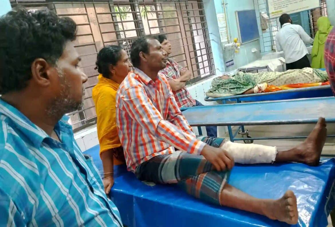 গাংনীতে বুনো শূকরের কামড়ে আহত সাত