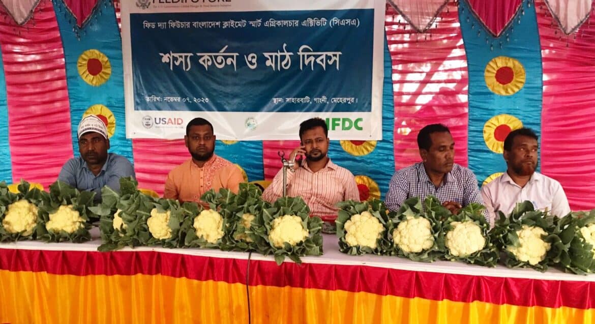 পরিবেশ বান্ধব গুটি ইউরিয়া প্রয়োগে কমেছে ইউরিয়ার ব্যবহার বেড়েছে ফলন