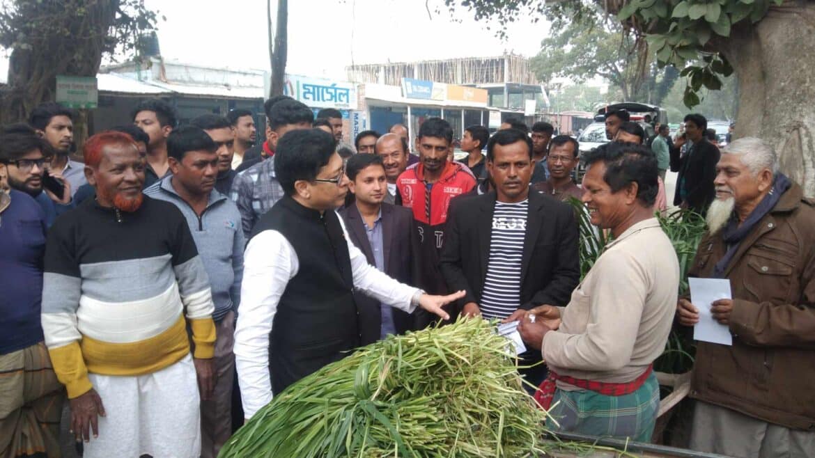 মুজিবনগরে আওয়ামী লীগ প্রার্থীর গণসংযোগ 