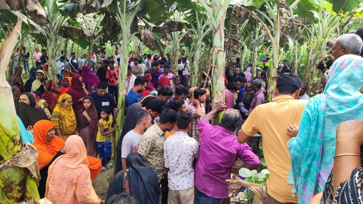 গাংনীতে এক ভ্যান চালককের  মরদেহ উদ্ধার