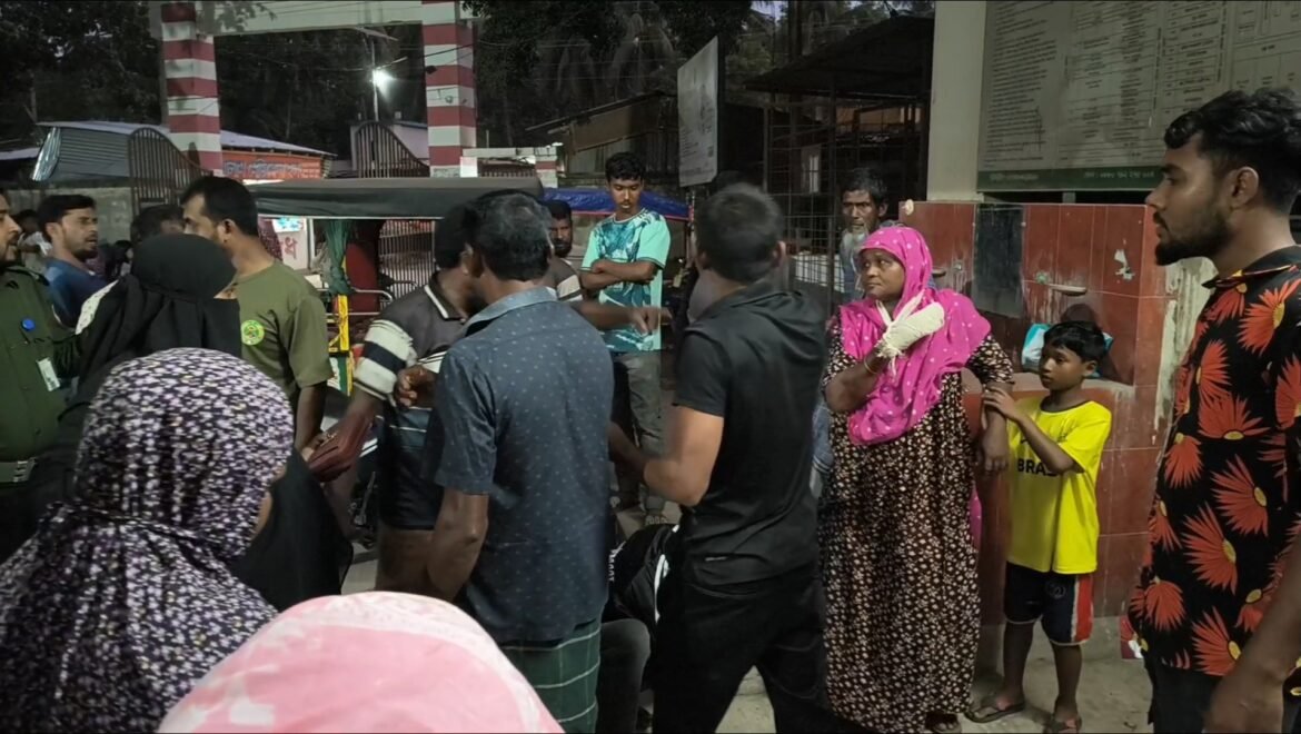 গাংনীতে খ্যাপা শেয়ালের কামড়ে নারী-শিশুসহ আহত অন্তত ১১