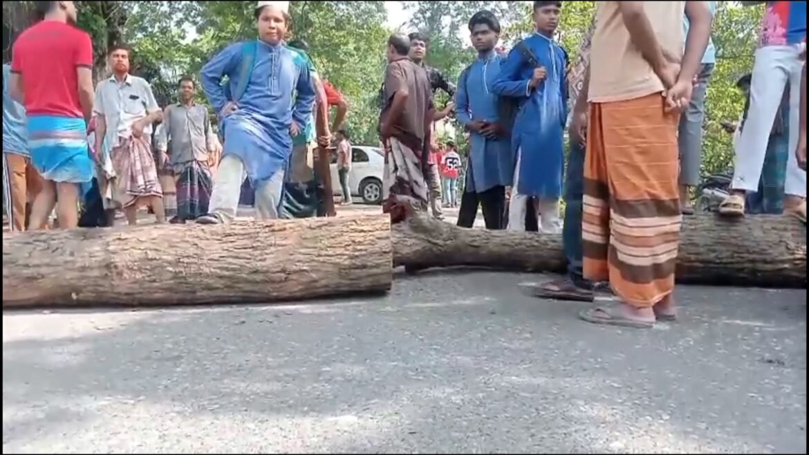 মেহেরপুরে বাসের চাকায় পিষ্ট হয়ে এক শিশু নিহত